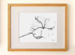 Load image into Gallery viewer, Bloom - Fine Art Print
