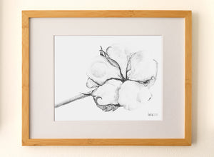 Bloom - Fine Art Print