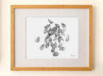 Load image into Gallery viewer, Cotton Seeds - Fine Art Print
